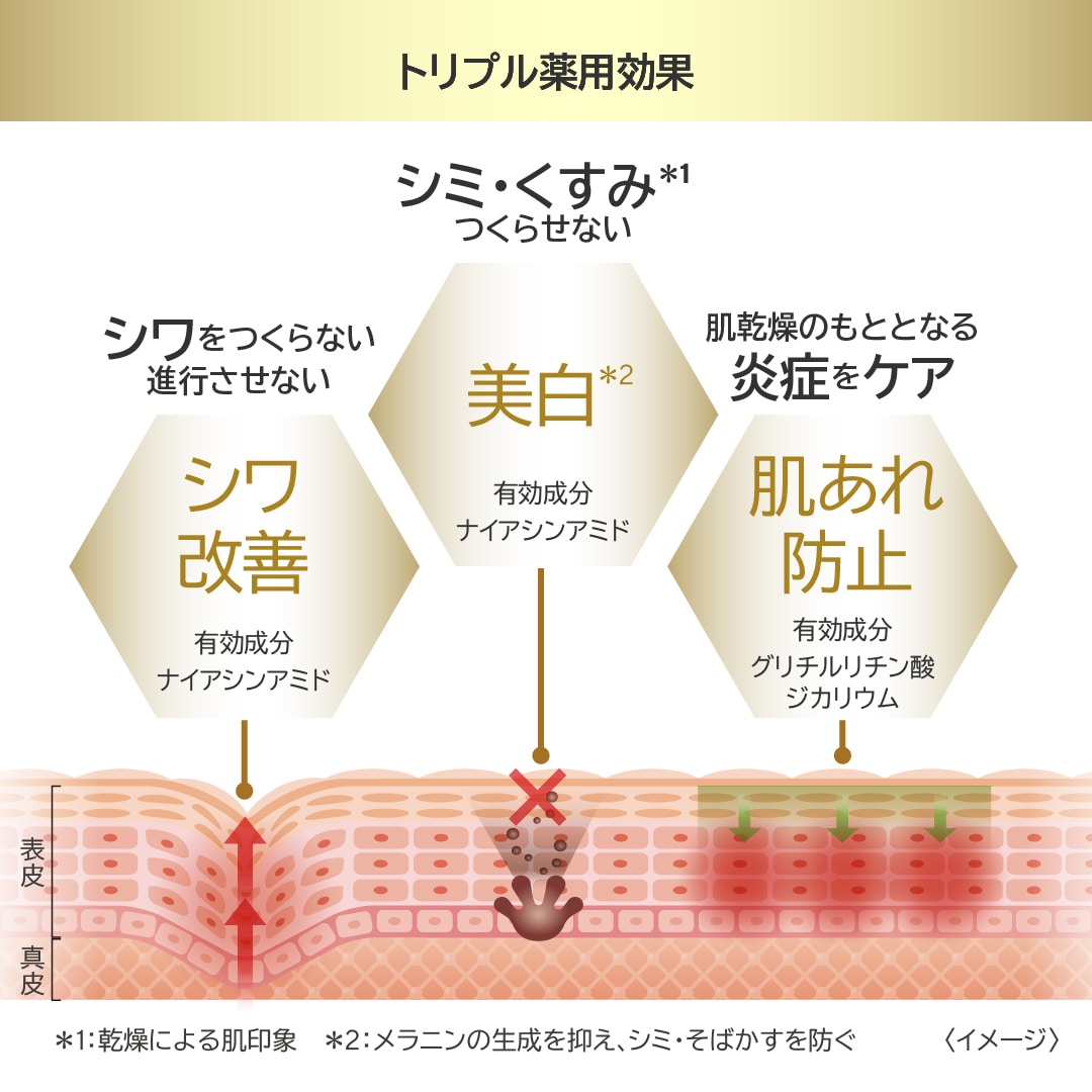 エステファクト　リンクルホワイトセラムローション　75ml 2本セット エステファクト リンクルホワイトセラムローション(通常): 導入