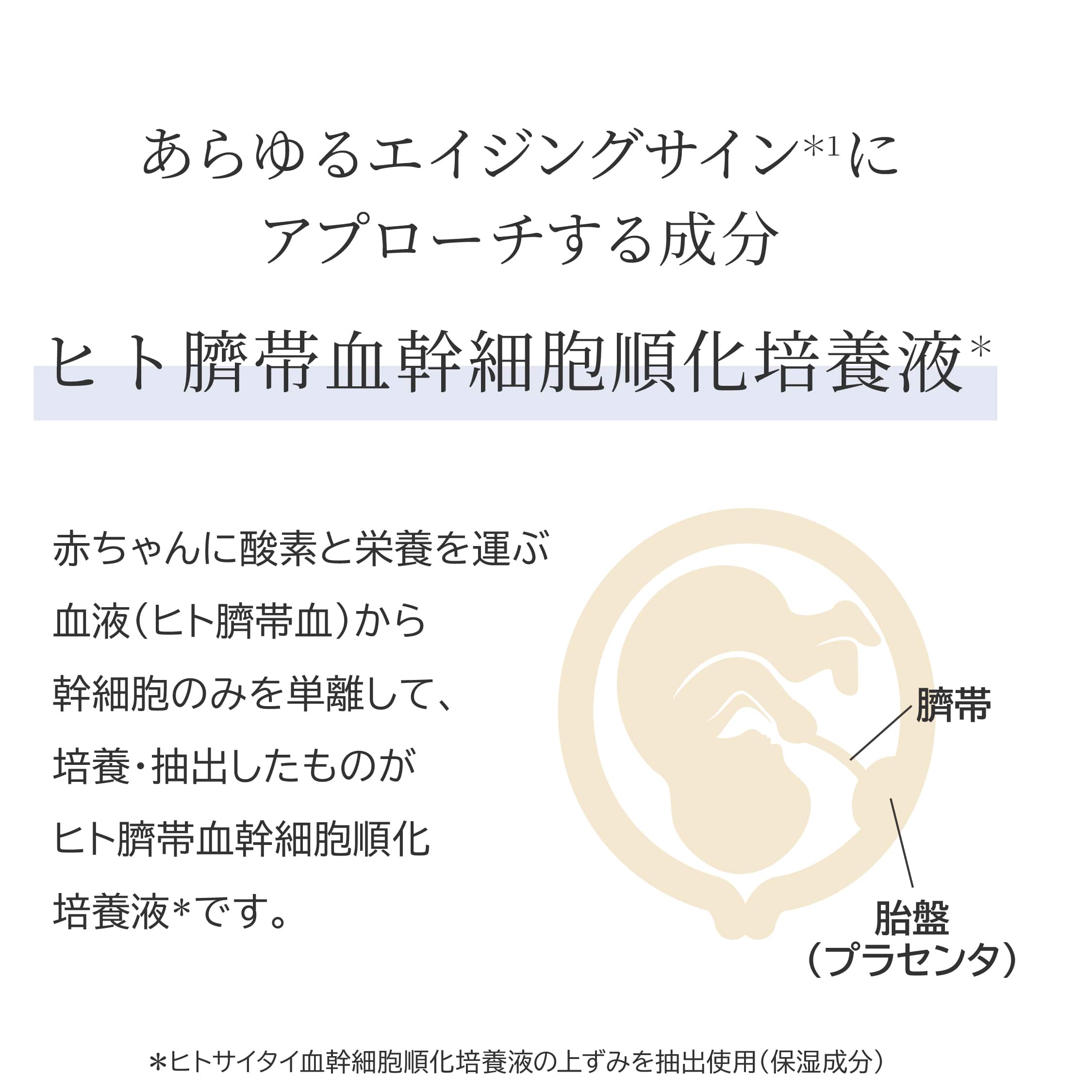 2月特別キャンペーン】スーパーセルアイクリーム 2本セット（お一人様1