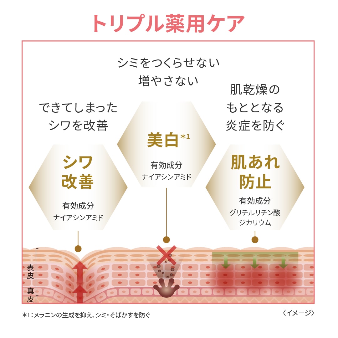 12月キャンペーン】リンクルホワイトメディカルジェル 2個セット