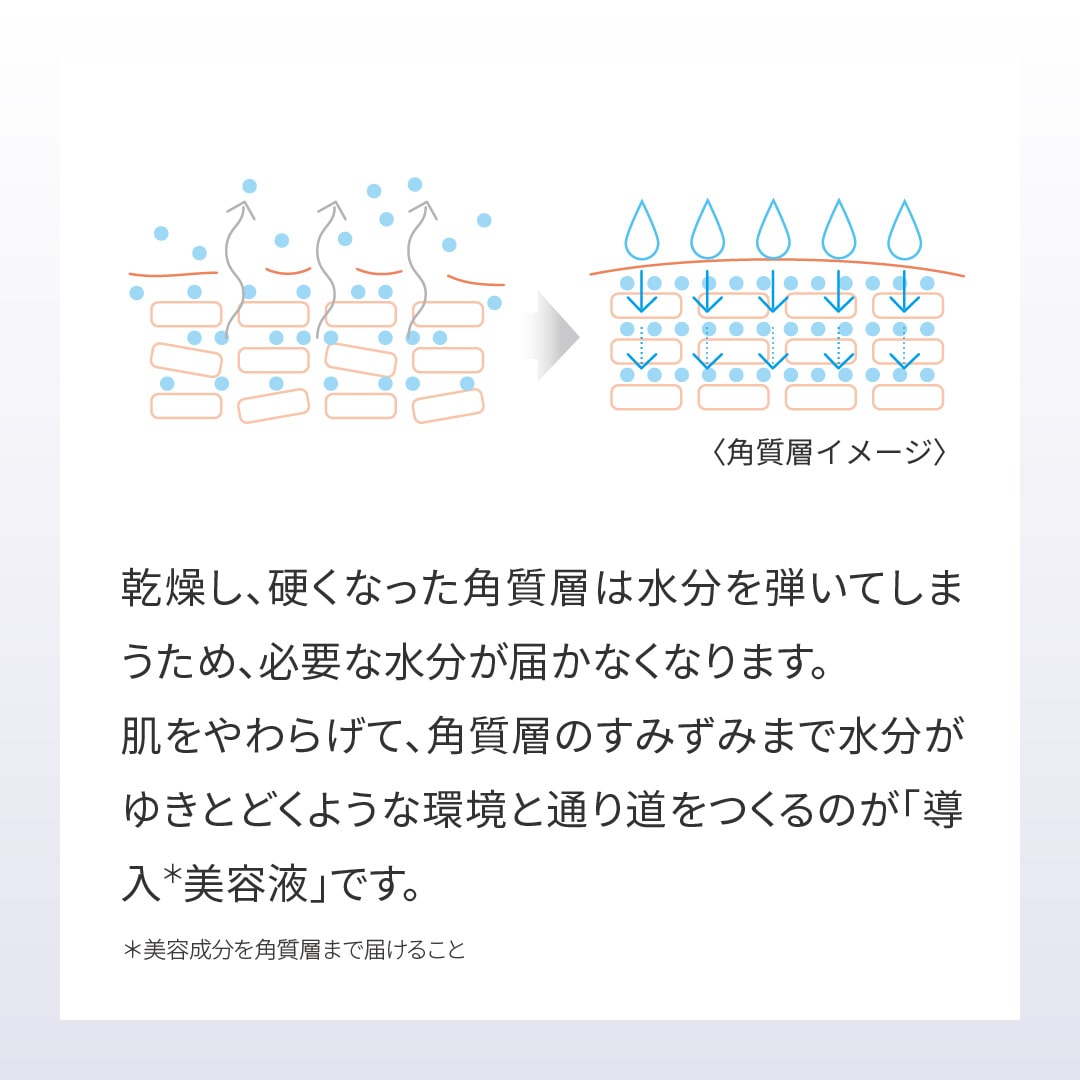 エステファクト ホワイトイントロ美容液