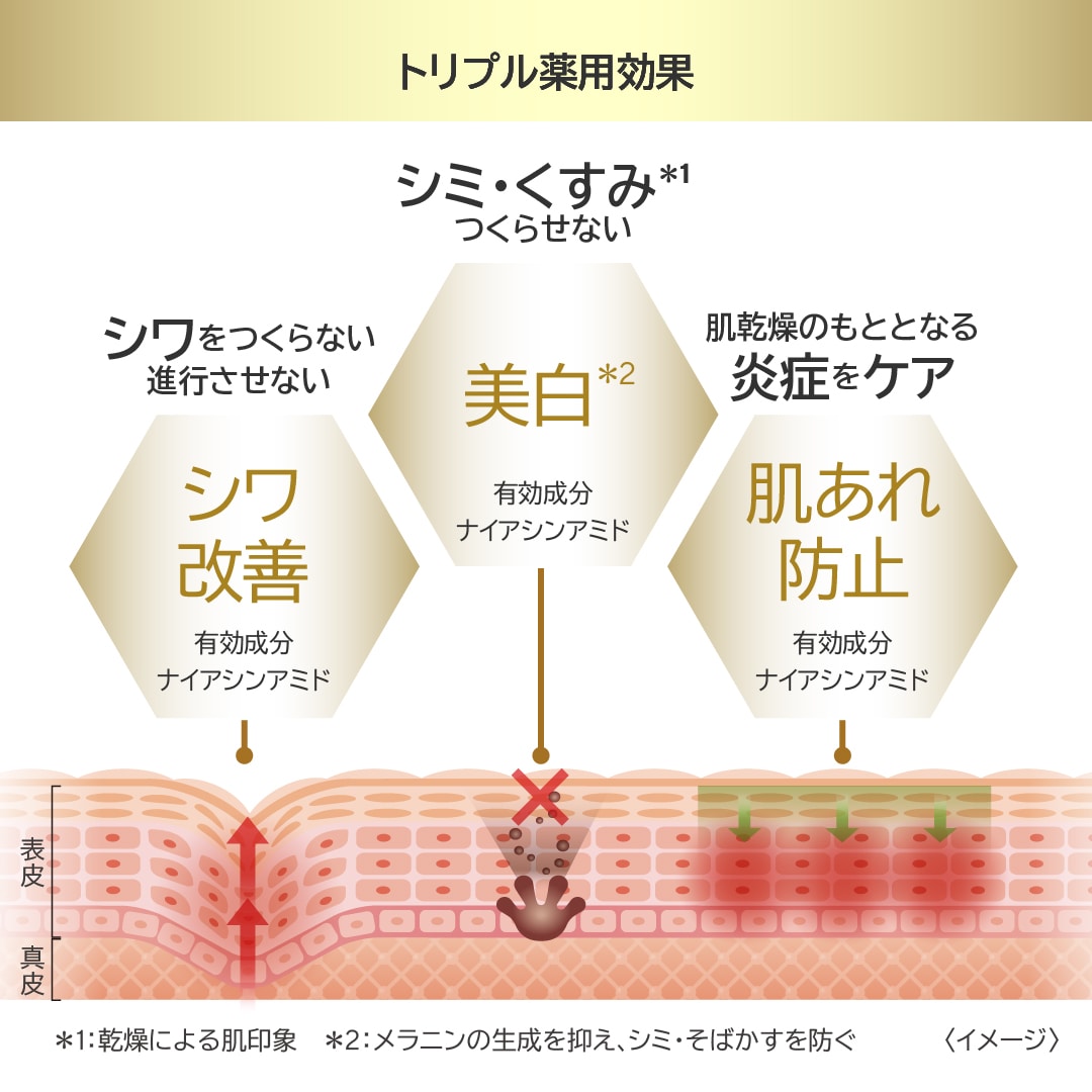 【定期便】エステファクト リンクルホワイトセラムローション 定期