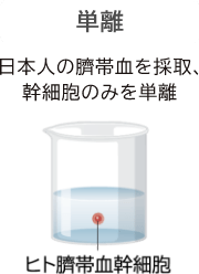 単離