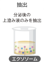 抽出