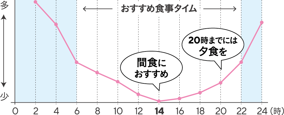 BMAL 1(ビーマルワン)の1日の変化イメージ