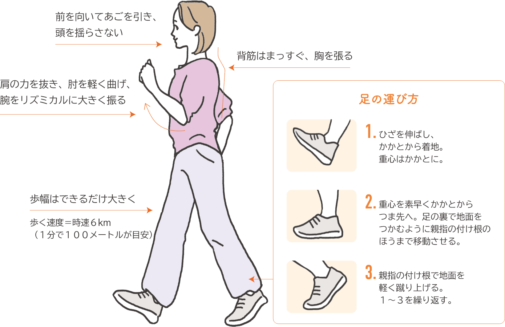 正しい姿勢で歩けば消費カロリーもアップ