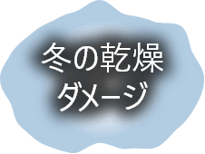 冬の乾燥ダメージ