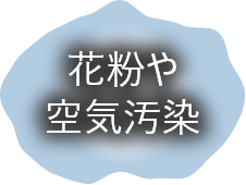 花粉や空気汚染