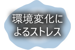 環境変化によるストレス