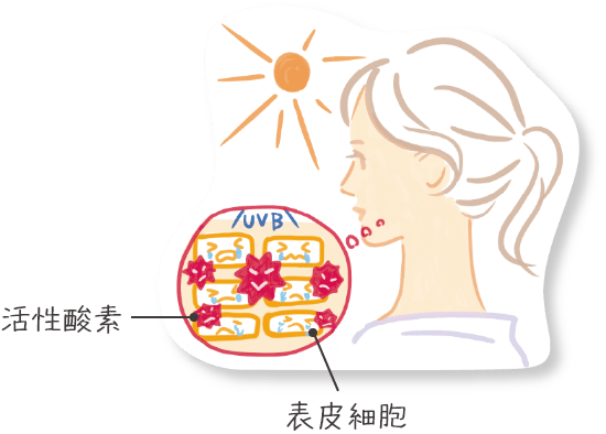 20分浴びただけで細胞に大きなダメージ！