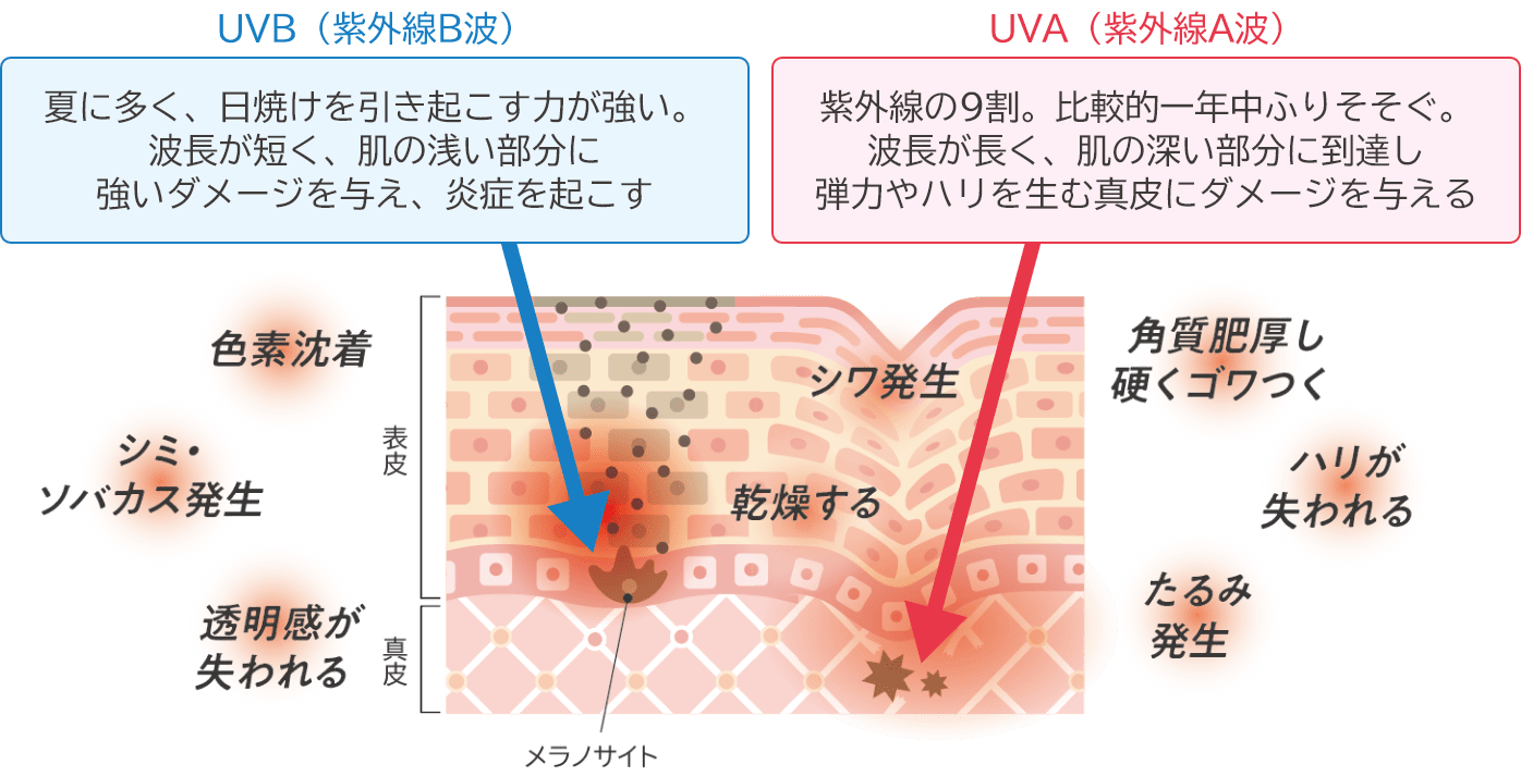 肌にもさまざまな悪影響が！