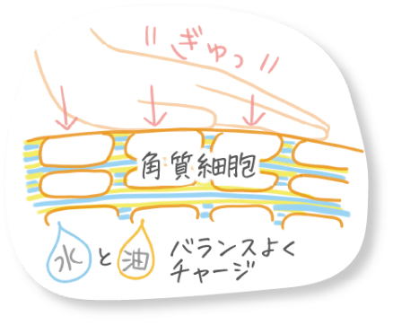 保湿強化