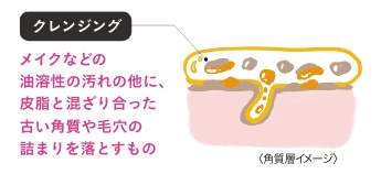 クレンジング：メイクなどの油溶性の汚れの他に、皮脂と混ざり合った古い角質や毛穴の詰まりを落とすもの