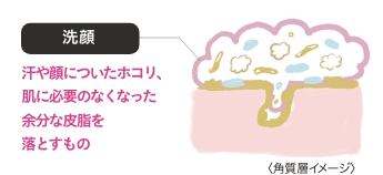 洗顔：汗や顔についたホコリ、肌に必要のなくなった余分な皮脂を落とすもの