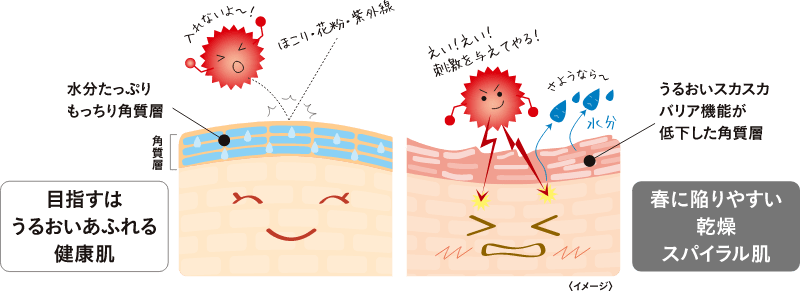 [目指すはうるおいあふれる健康肌]水分たっぷりもっちり角質層なら、ほこり・花粉・紫外線が入れない [春に陥りやすい乾燥スパイラル肌]うるおいスカスカバリア機能が低下した角質層なら、刺激で水分が逃げていく