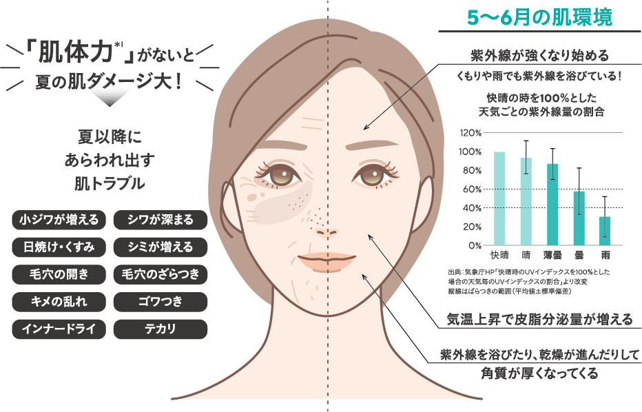 肌体力が無いと夏の肌ダメージ大!