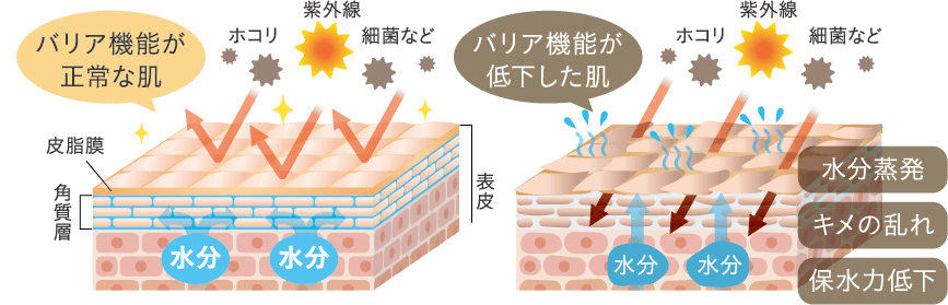 徹底保湿