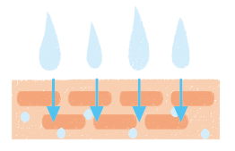 肌から流出した水分を化粧水で補う