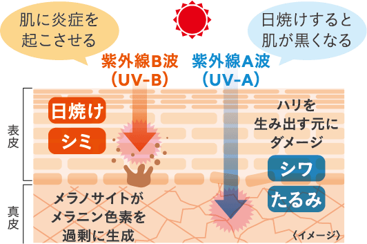 紫外線対策